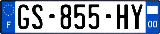GS-855-HY