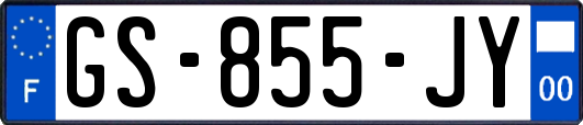GS-855-JY