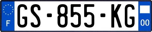 GS-855-KG