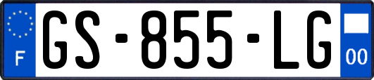 GS-855-LG