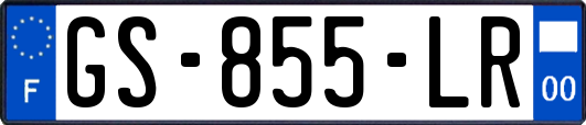 GS-855-LR