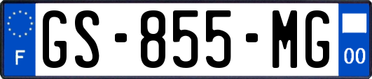 GS-855-MG