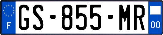 GS-855-MR