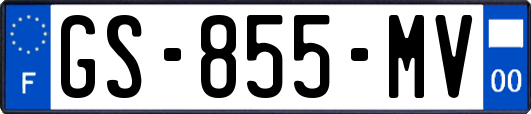 GS-855-MV