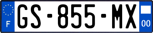 GS-855-MX