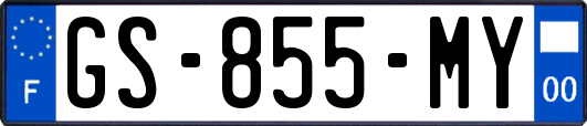 GS-855-MY