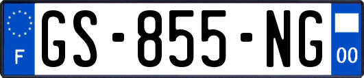 GS-855-NG