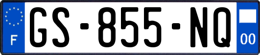 GS-855-NQ