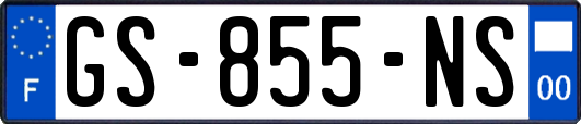 GS-855-NS