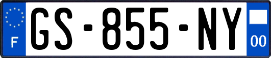 GS-855-NY