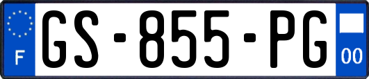 GS-855-PG