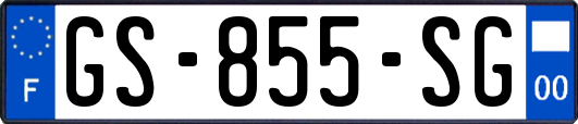 GS-855-SG