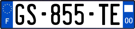 GS-855-TE