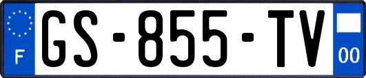 GS-855-TV