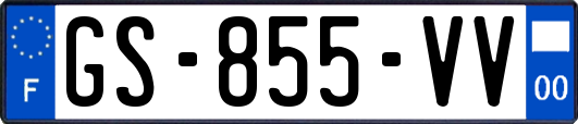 GS-855-VV