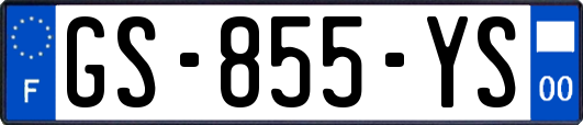GS-855-YS
