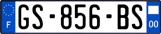 GS-856-BS