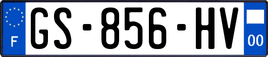 GS-856-HV
