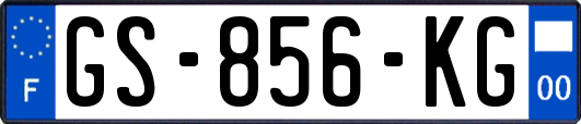 GS-856-KG