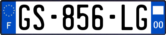 GS-856-LG