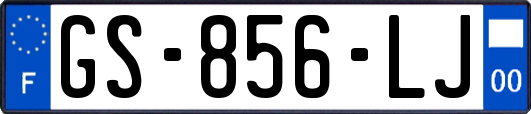 GS-856-LJ
