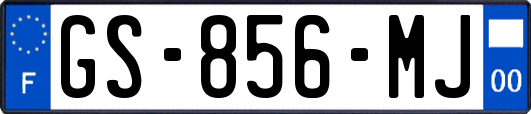 GS-856-MJ