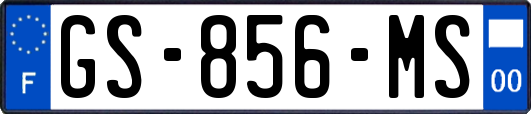 GS-856-MS