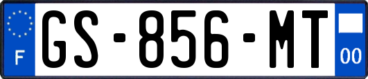 GS-856-MT