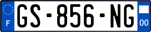 GS-856-NG