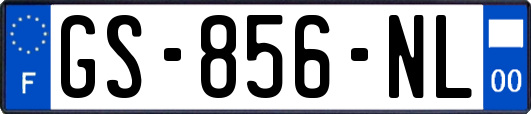 GS-856-NL