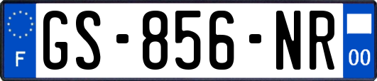 GS-856-NR