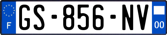 GS-856-NV