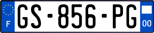 GS-856-PG