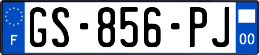 GS-856-PJ