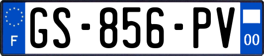 GS-856-PV