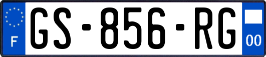 GS-856-RG