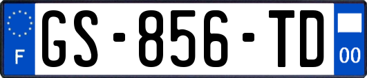 GS-856-TD