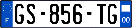GS-856-TG
