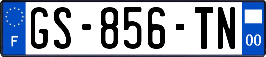 GS-856-TN