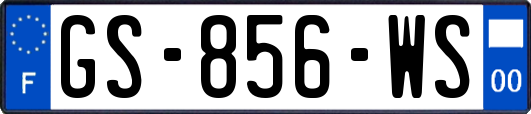 GS-856-WS