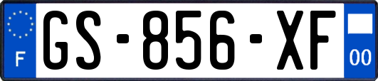 GS-856-XF