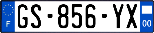 GS-856-YX