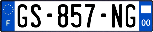 GS-857-NG