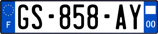 GS-858-AY