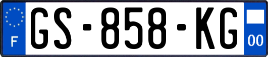 GS-858-KG
