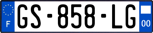 GS-858-LG