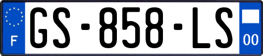 GS-858-LS