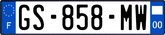 GS-858-MW