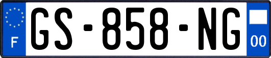 GS-858-NG