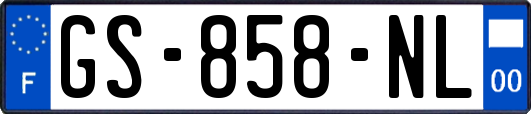 GS-858-NL
